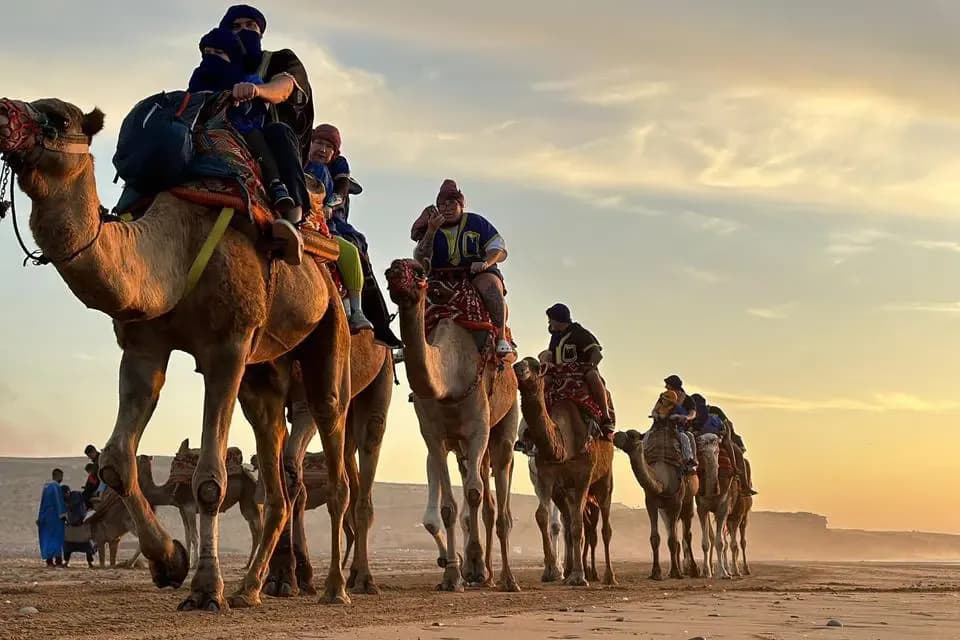 Camel ride at sunset